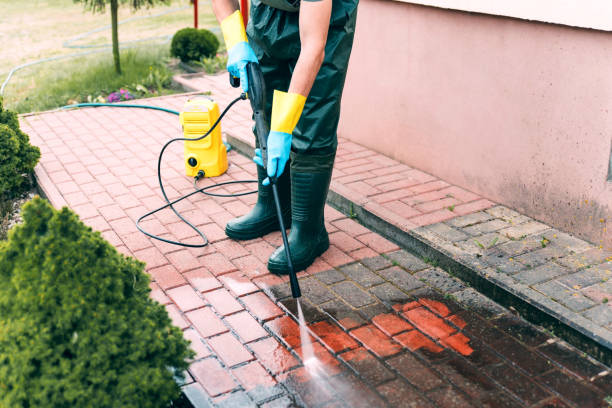 Best Exterior Home Cleaning  in Rushvle, IL