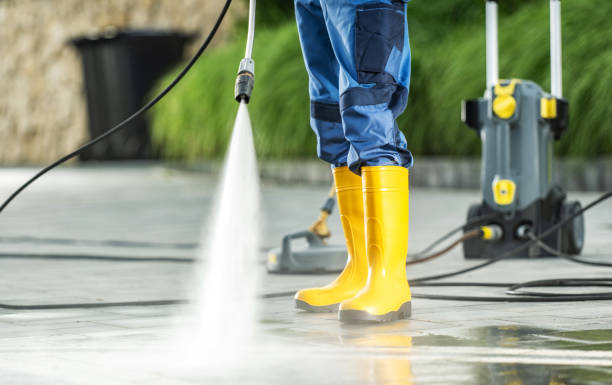 Best House Pressure Washing  in Rushvle, IL