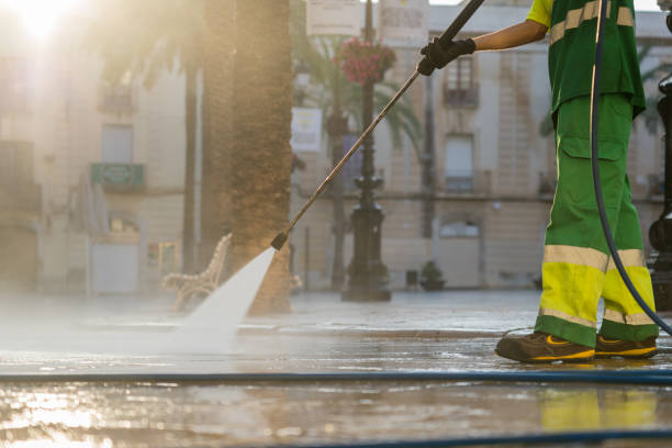 Best Affordable Power Washing  in Rushvle, IL
