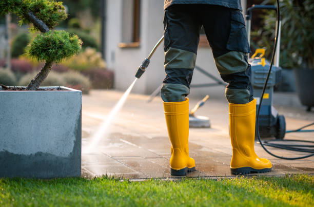 Best Power Washing Near Me  in Rushvle, IL